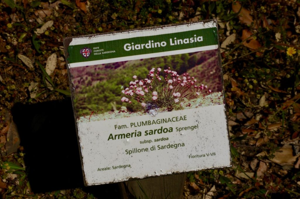 giardino-montano-linasia-wheresardinia